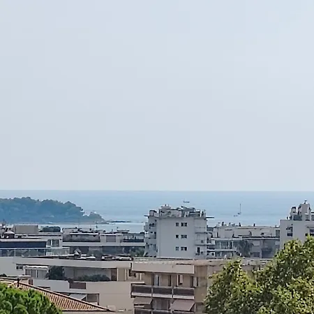 Les Dauphins *